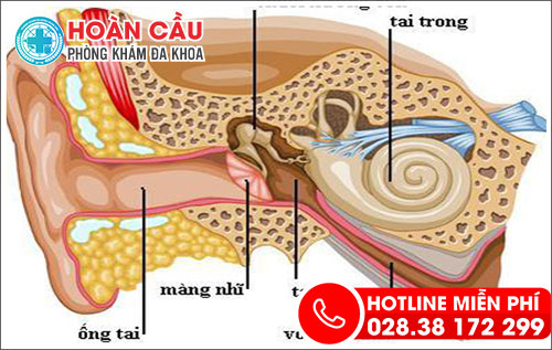 Mách nhỏ bạn những mẹo chữa ù tai