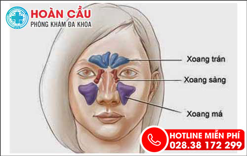 Những điều cần biết về xoang và bệnh viêm xoang